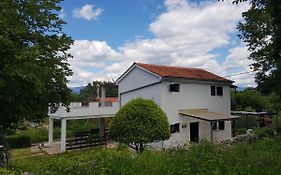 Apartment Buric